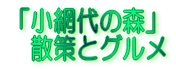 三島散策と桜家のうなぎ 