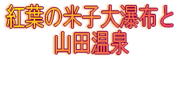 三島散策と桜家のうなぎ 