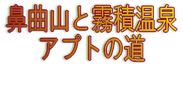 三島散策と桜家のうなぎ 