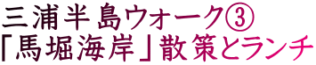 三浦半島ウォーク③ 「馬堀海岸」散策とランチ