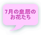 7月の皇居の お花たち